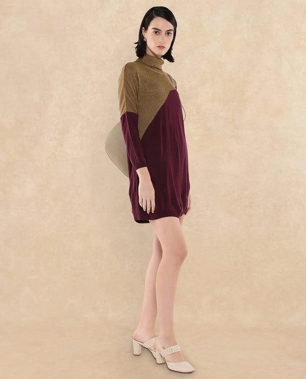 Rareism Women Spaton Maroon Plain Crew Neck Plain Sweater