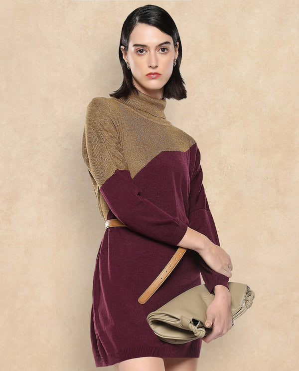 Rareism Women Spaton Maroon Plain Crew Neck Plain Sweater