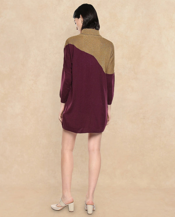 Rareism Women Spaton Maroon Plain Crew Neck Plain Sweater
