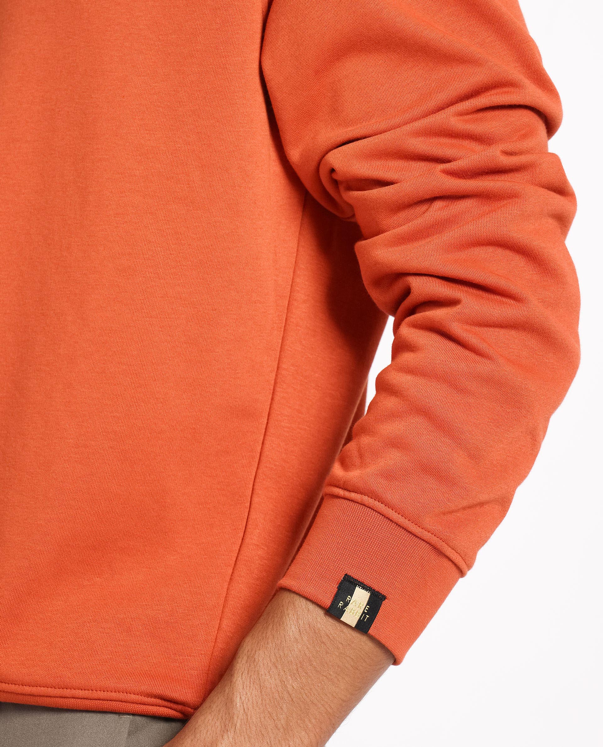 Rare Rabbit Men's Cerdon Rust Cotton Polyester Fabric Full Sleeves Graphic Branding Print Knitted Sweatshirt