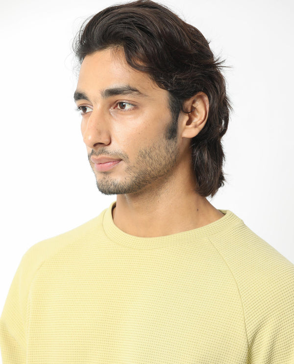 Rare Rabbit Mens Sven Pastel Green Sweatshirt Cotton Polyester Fabric Round Neck Knitted Full Sleeves Comfortable Fit