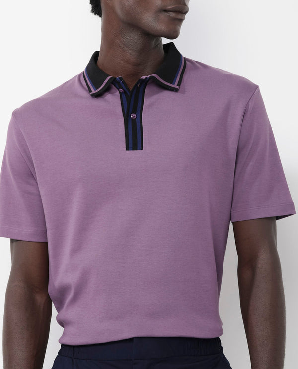 Rare Rabbit Men's Territ Dusky Purple Short Sleeve Collared Neck Regular Fit Plain Polo T-Shirt