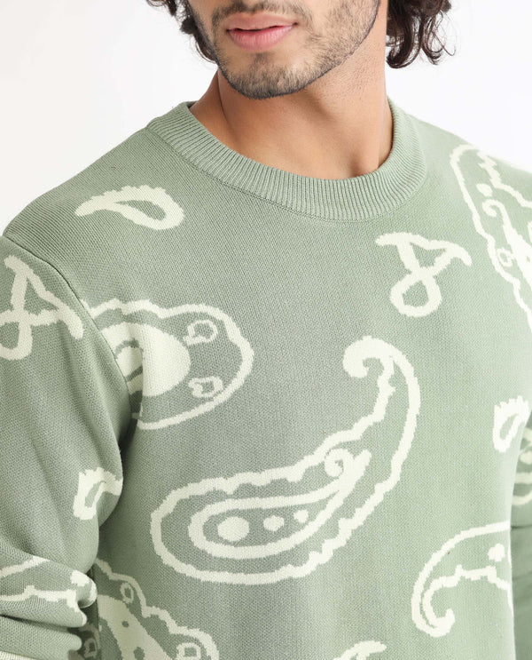 Rare Rabbit Mens Tori Light Green Viscose Nylon Fabric Crew Neck Full Sleeves Paisley Print Sweater