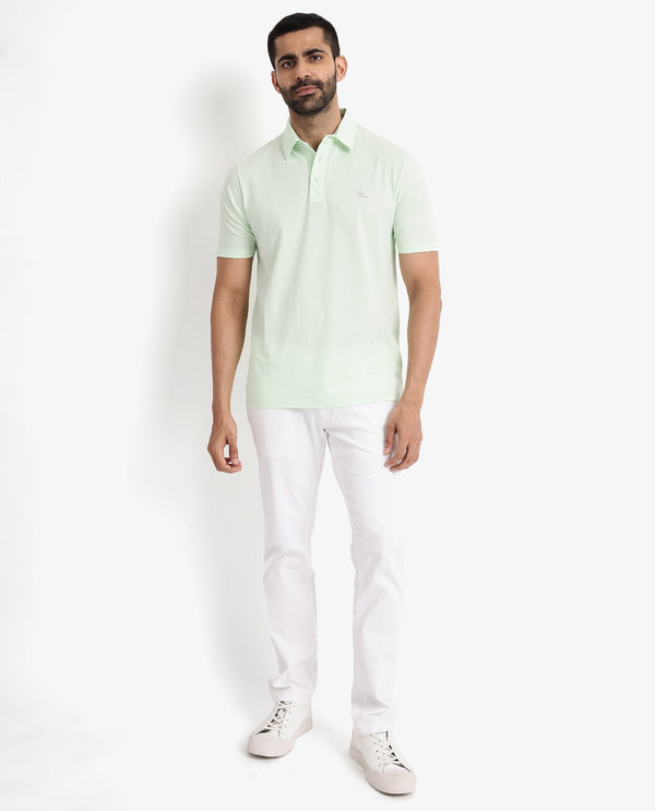 Rare Rabbit Men's Tunas Light Green Cotton Polyester Fabric Collared Neck Half Sleeves Striped Polo T-Shirt