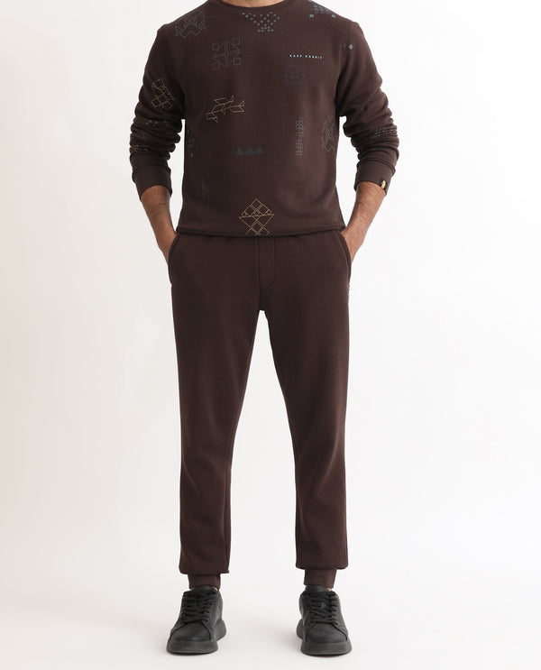 Rare Rabbit Mens Vik Brown Track Pant Cotton Polyester Fabric Mid Rise Knitted Draw String Closure Regular Fit