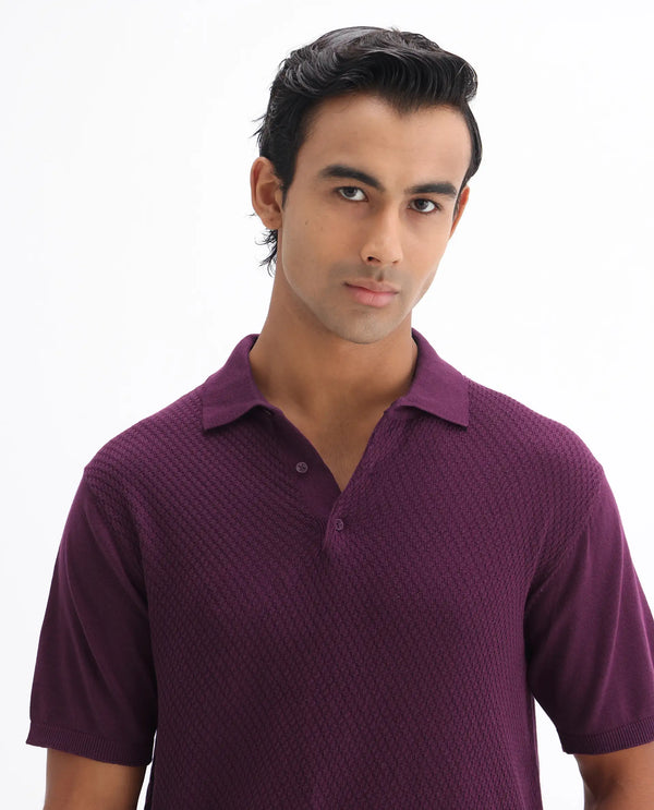 Rare Rabbit Men Xas Dark Purple Cotton Fabric Short Sleeve Regular Collared Cable Knit Plain Polo T-Shirt
