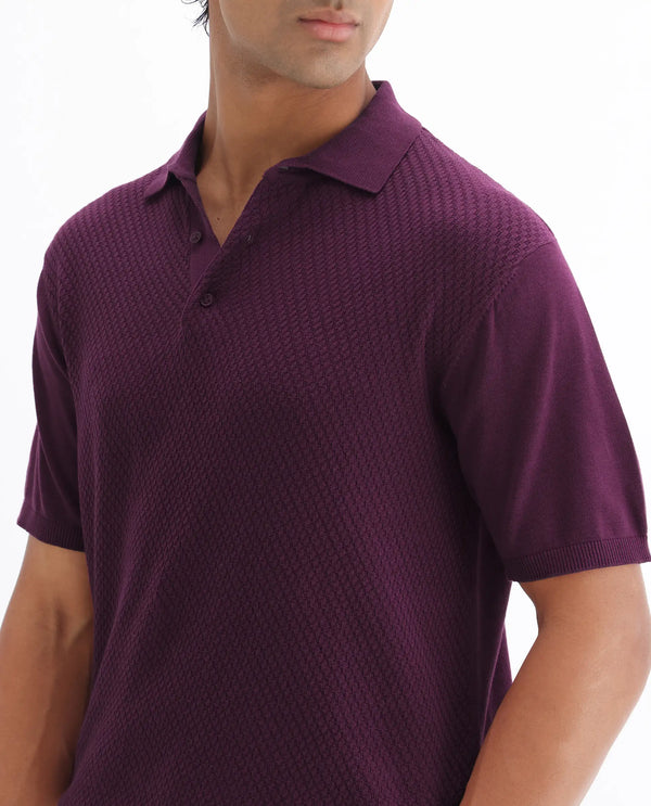 Rare Rabbit Men Xas Dark Purple Cotton Fabric Short Sleeve Regular Collared Cable Knit Plain Polo T-Shirt