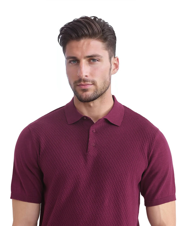 Rare Rabbit Men Xas Dark Purple Cotton Fabric Short Sleeve Regular Collared Cable Knit Plain Polo T-Shirt