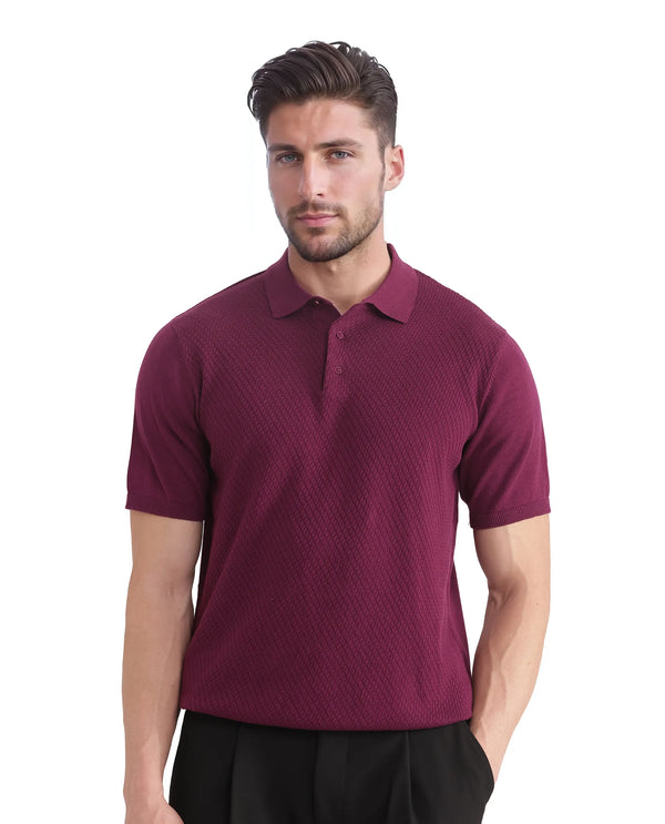 Rare Rabbit Men Xas Dark Purple Cotton Fabric Short Sleeve Regular Collared Cable Knit Plain Polo T-Shirt