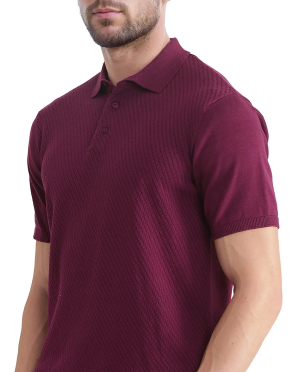 Rare Rabbit Men Xas Dark Purple Cotton Fabric Short Sleeve Regular Collared Cable Knit Plain Polo T-Shirt