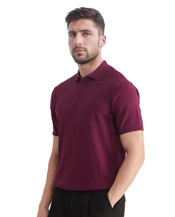 Rare Rabbit Men Xas Dark Purple Cotton Fabric Short Sleeve Regular Collared Cable Knit Plain Polo T-Shirt