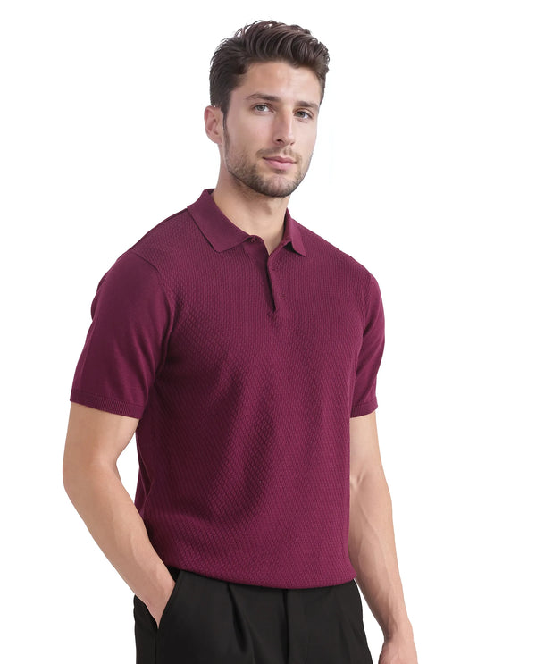 Rare Rabbit Men Xas Dark Purple Cotton Fabric Short Sleeve Regular Collared Cable Knit Plain Polo T-Shirt
