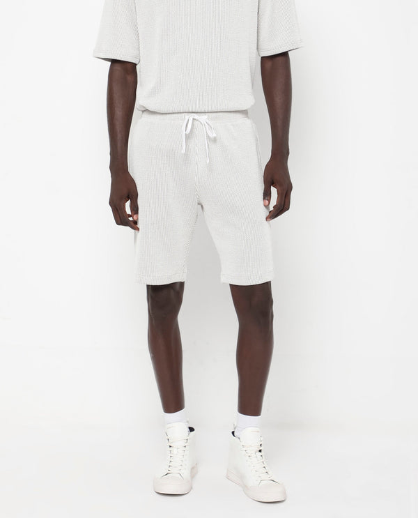 Rare Rabbit Men's Zavet-B Grey Cotton Polyester Fabric Knee Length Regular Fit Self Stripe Textured Shorts