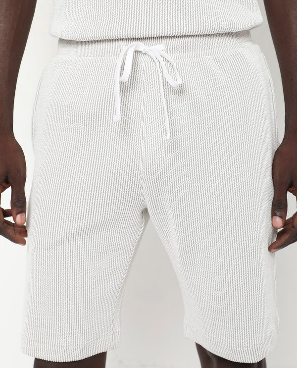 Rare Rabbit Men's Zavet-B Grey Cotton Polyester Fabric Knee Length Regular Fit Self Stripe Textured Shorts