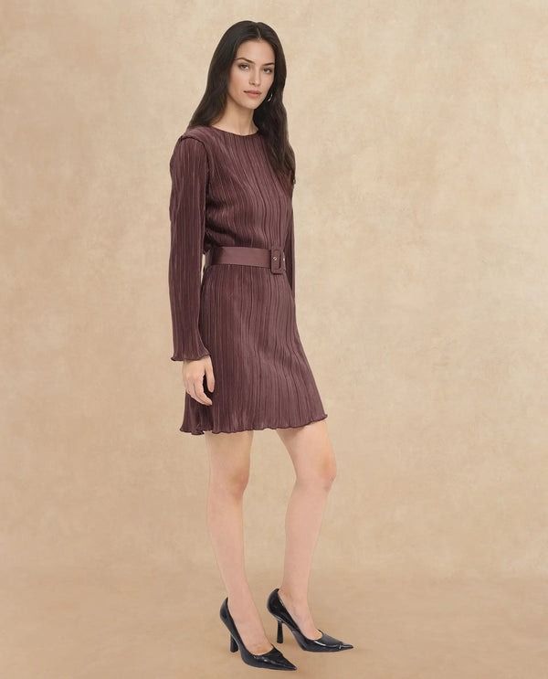 Rareism Womens Averna Brown Polyester Full Sleeve Dyed Pleated Mini Dress