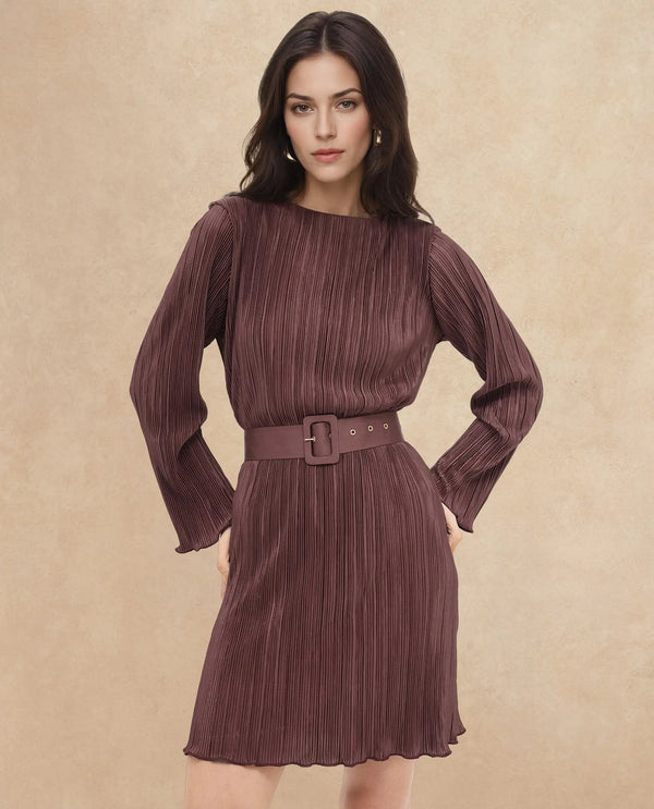 Rareism Womens Averna Brown Polyester Full Sleeve Dyed Pleated Mini Dress