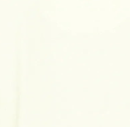 pastel-green