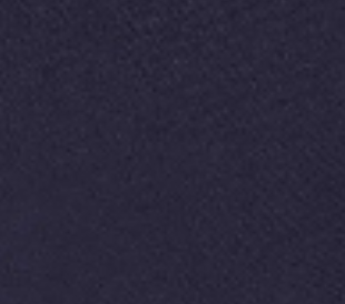 dark-navy