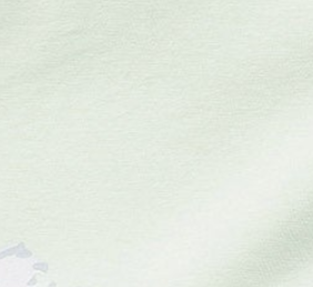 pastel-green