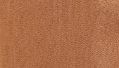 pastel-orange