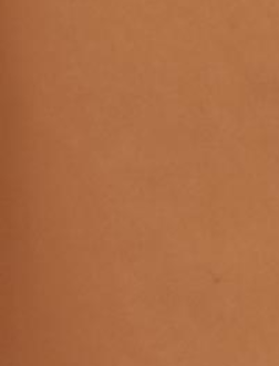 light-brown