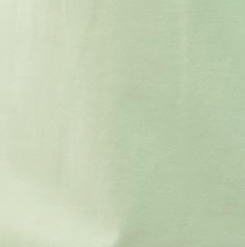 pastel-green