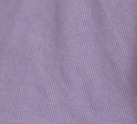 pastel-purple