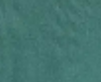dark-dark-green