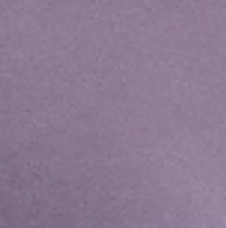 pastel-purple