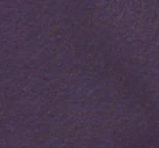 dark-purple
