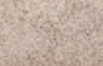 dark-beige